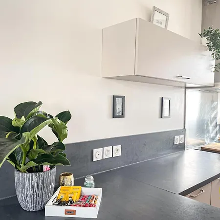 Duplex Elegant Et Spacieux Apartment Lens